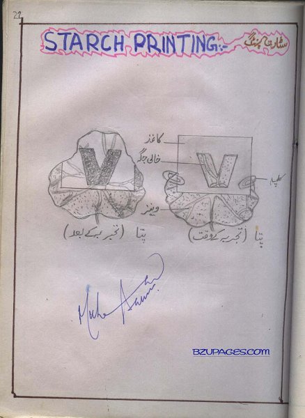 22 Starch Printing.jpg